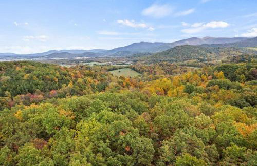 Mountain Top Retreat Shenandoah - Foto 38