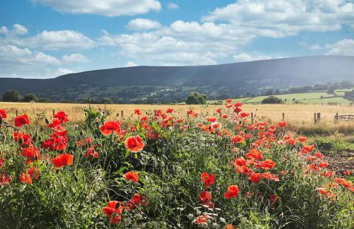 Spacious Cottage - Sleeps 4 - in the Black Mountains - Photo 33