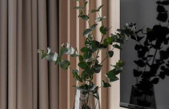 Stary Tartak nad jeziorem Drwęckim - MAZURIA APARTAMENTY - Foto 11