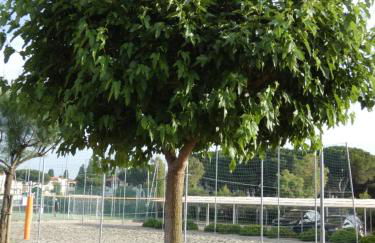 Rosa Dei Venti - Foto 57