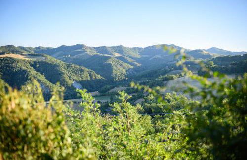 Casetta sulle colline del San giovese - Foto 27