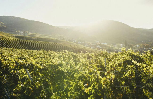 Oma Ludwin 1 Comfortable Holiday Residence - Foto 17