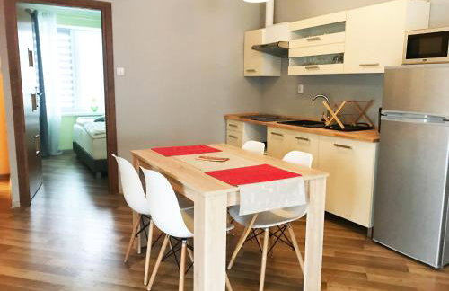 Apartamenty Centrum Rajcza - Foto 15