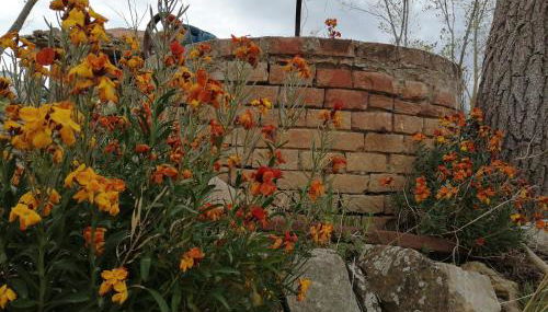 Podere Stabbiatelli - Foto 5