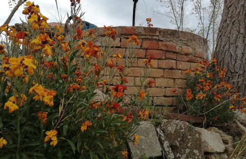 Podere Stabbiatelli - Foto 5