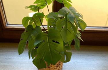 Weilburg-Domizil - Foto 13