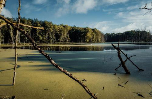 Feriendomizil Alter Garten - Photo 13