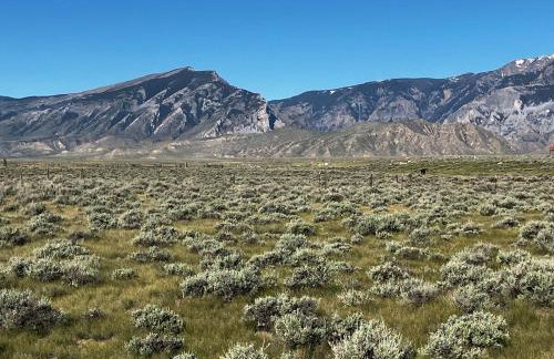 New Listing! River Front! - Foto 21