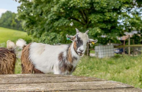 2 Bed in Taunton oc-83696 - Foto 13