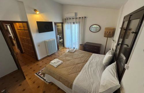 Melissiblue Vila Fanis - Foto 35