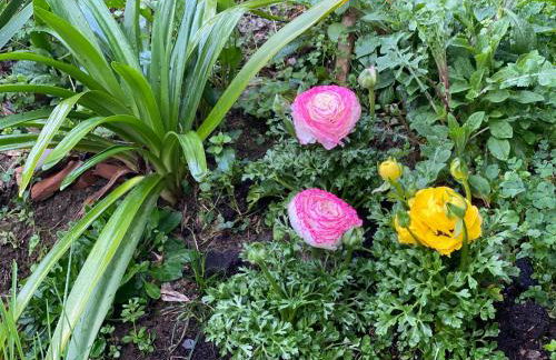 DOLCE VITA IN TUSCANY Cottage - Foto 45