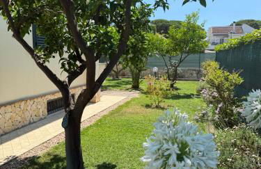 Domus Thalia - Foto 10