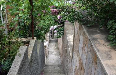 Villa Antares Pisak - Foto 44