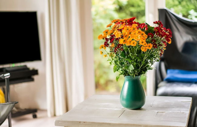 Holiday Home in Stegeren With Pool - Foto 24