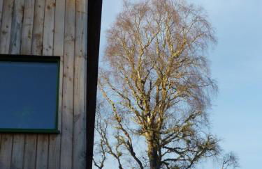 Betula Chalet – coast & country in the Highlands - Foto 25