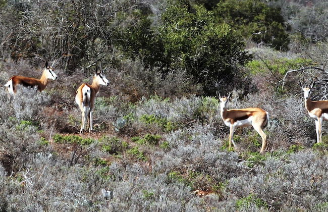 Berluda Farmhouse & Cottages - Photo 49