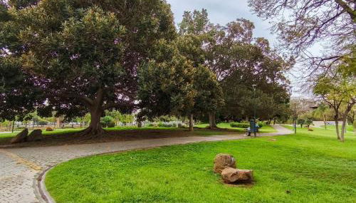 Estudio Huelin Playa - Photo 3