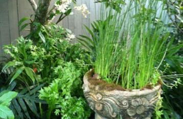 The Secret Garden Room - Foto 36