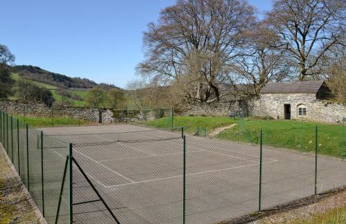 Crogen Wing - Photo 14