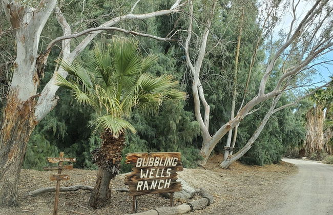 Bubbling Wells Oasis - Foto 37