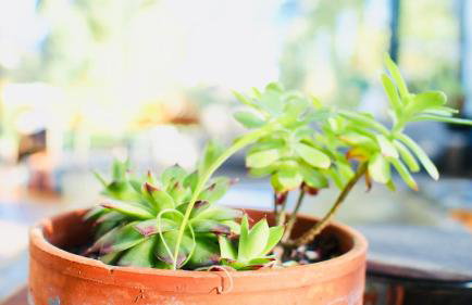 Oasis de Caudéran - Foto 55