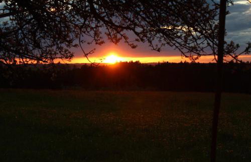 Ferienwohnung Rupp Bergblick & private Sauna - Photo 36