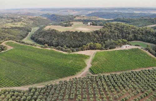 La volpe e l'uva Dimore - Photo 72