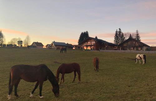 Unique ! Chalet Grand Standing, la Nature pour vis à vis - Foto 11