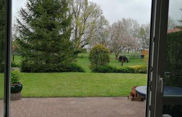 Friesen-Auszeit - Dem Alltag entkommen - Photo 9