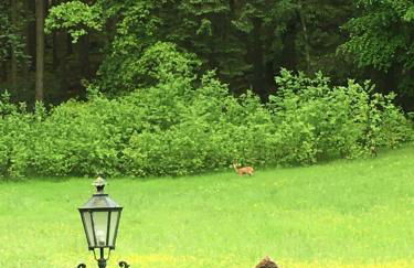 Kleine Milchbar Barrierefrei in den Bergen auf dem Hof Grindelborn - Foto 9