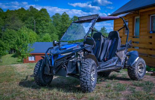 Siedlisko mazury. - Foto 4