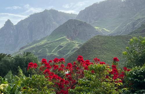 Finca Exclusiv LA MAreta - Foto 40
