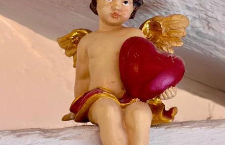 Bois Mort farm - Foto 8