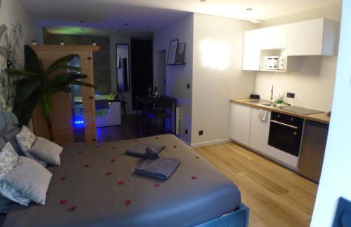 Appartement balnéothérapie et sauna hyper centre - Foto 6