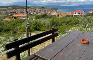 Despoina Meletiadou Nea Roda - Foto 41