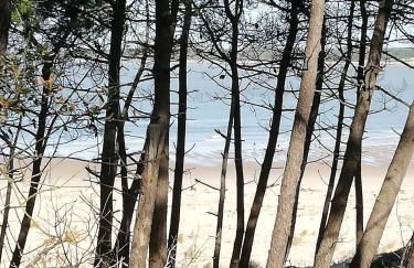 Maison RONCE LES BAINS - Foto 28