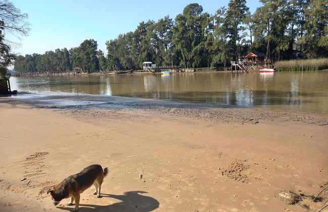 Cabaña del humedal - Foto 40