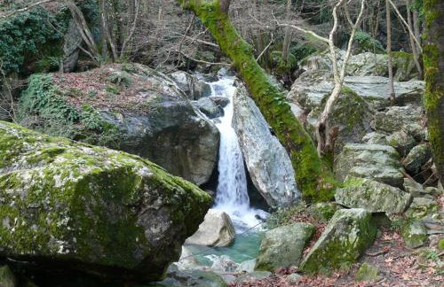 Traditional Stone House in pelion - Foto 39