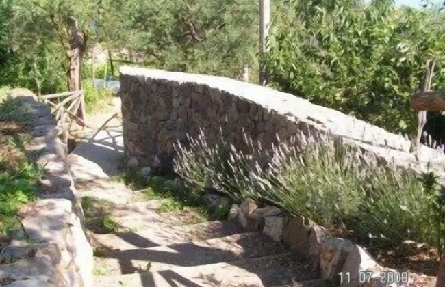 Gli Ulivi Agriturismo - Foto 66