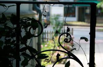 Ferienwohnung am Kurpark - Photo 7