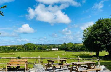 Canllefaes Cottages - Foto 13