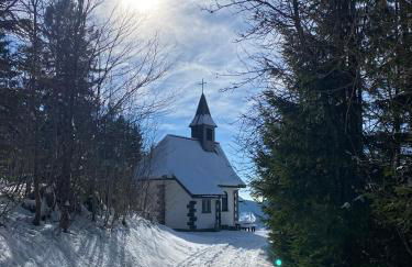 Berghof Almzeit - Fewo "Philosophenstüble", Sauna, Todtnauberg, Feldberg - Foto 25