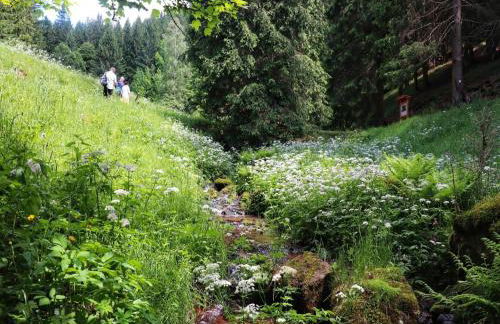 Wohnung Steinbach nahe Skihalle Oberhof, cleaning included - Foto 46