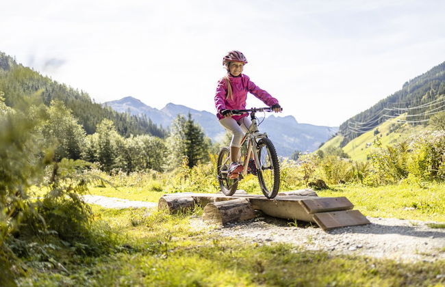 Appartements Fürstalm Alpendorf - Foto 76