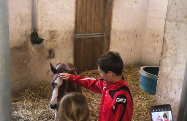 Gîtes du Tichweg - Foto 27