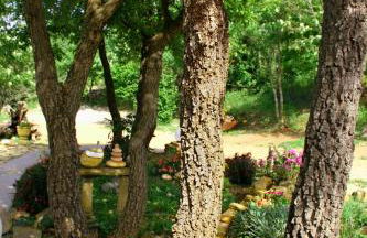 Casale Margherita Turismo Rurale - Foto 15