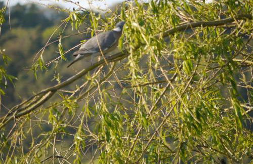 Apartment Kontor by Interhome - Foto 23