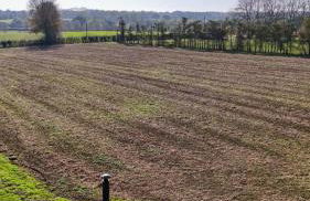 'Bramley' Hut on private farm - Foto 11