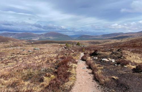 Orange Squirrel Lodge - Foto 24