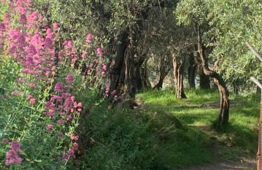 Monolocale COCO74 - Foto 53